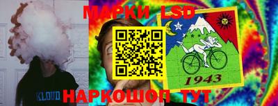 гашик Донецк