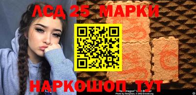 гашик Донецк