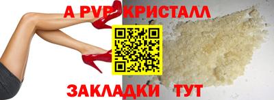 гашик Донецк