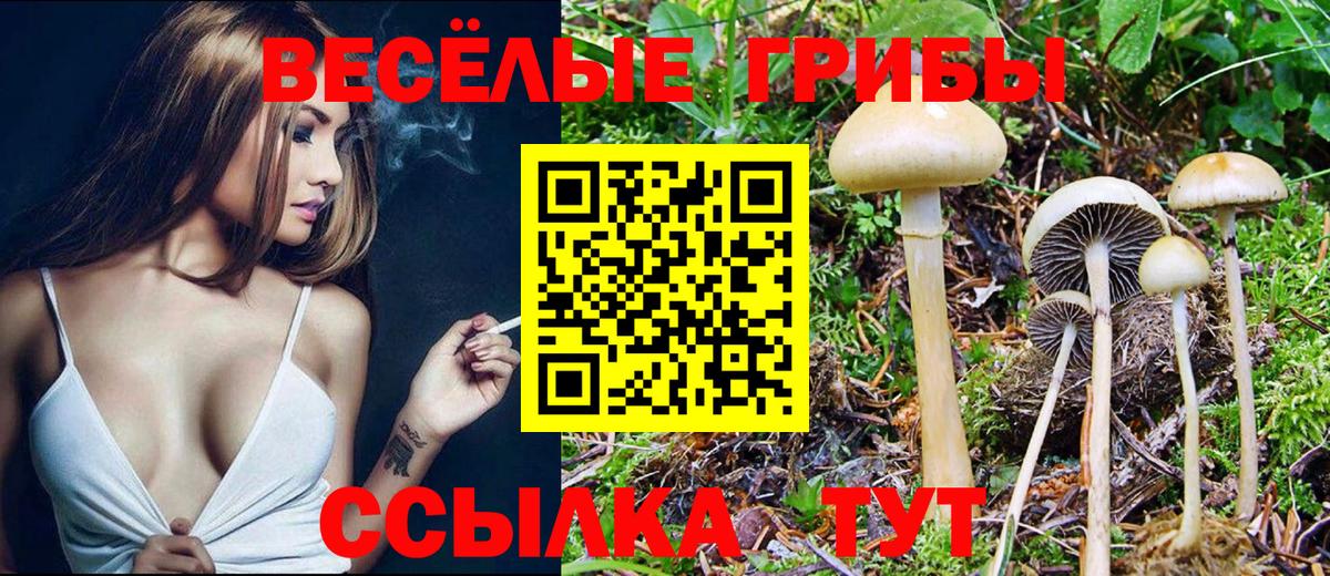 Галлюциногенные грибы мухоморы  Вход с VPN  Псилоцибиновые грибы ЛСД  наркошоп  Менделеевск 