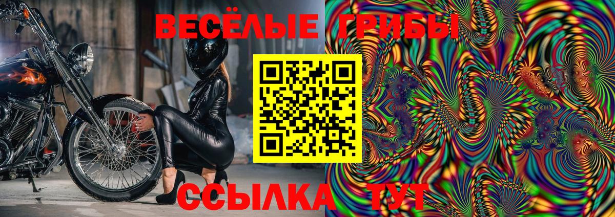 Галлюциногенные грибы GOLDEN TEACHER Менделеевск